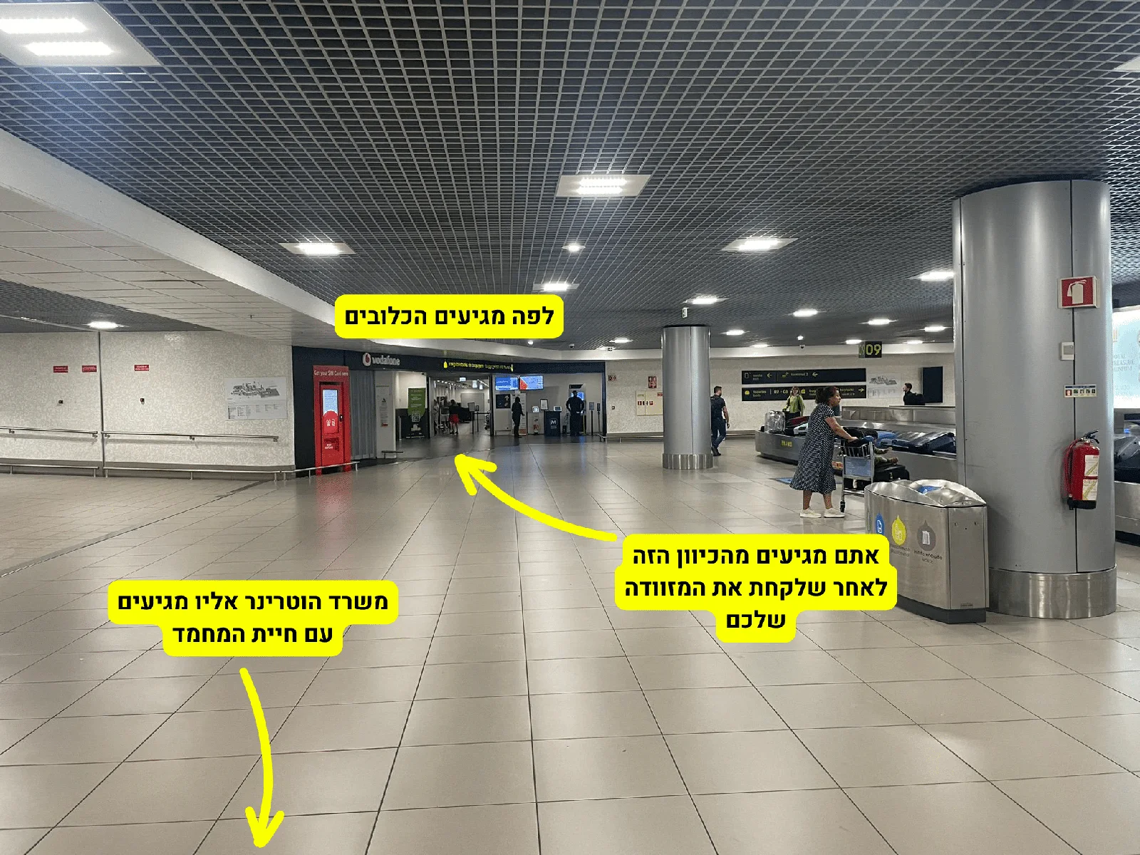 מיקום האיסוף של הכלוב בשדה התעופה בליסבון בנחיתה
