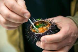 Sea urchin, served at a festival in EriceiraJORGE SIMÃO SIMON SAYS STUDIO
