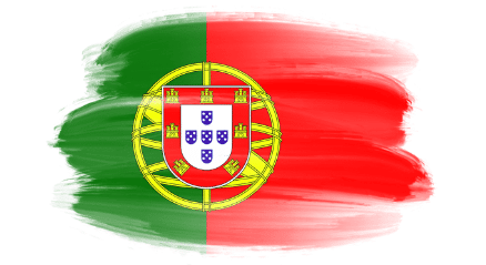 Portugal Flag Icon Portugal Flag Icon