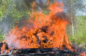 forest fire